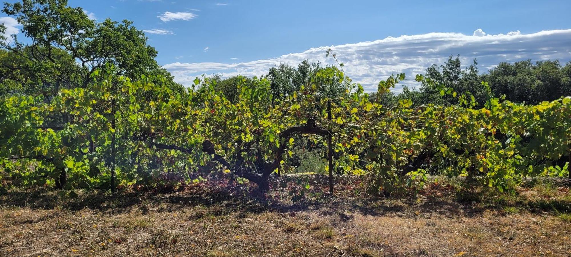Le Domaine Du Soulier -gite Et D'hotes - La Maison Du Gardien